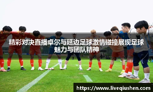 精彩对决直播卓尔与延边足球激情碰撞展现足球魅力与团队精神